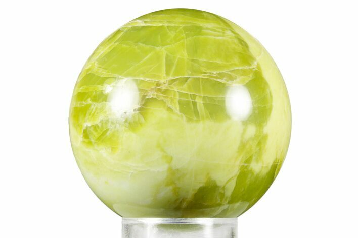 Polished Noble Serpentine Sphere - Washington #370909
